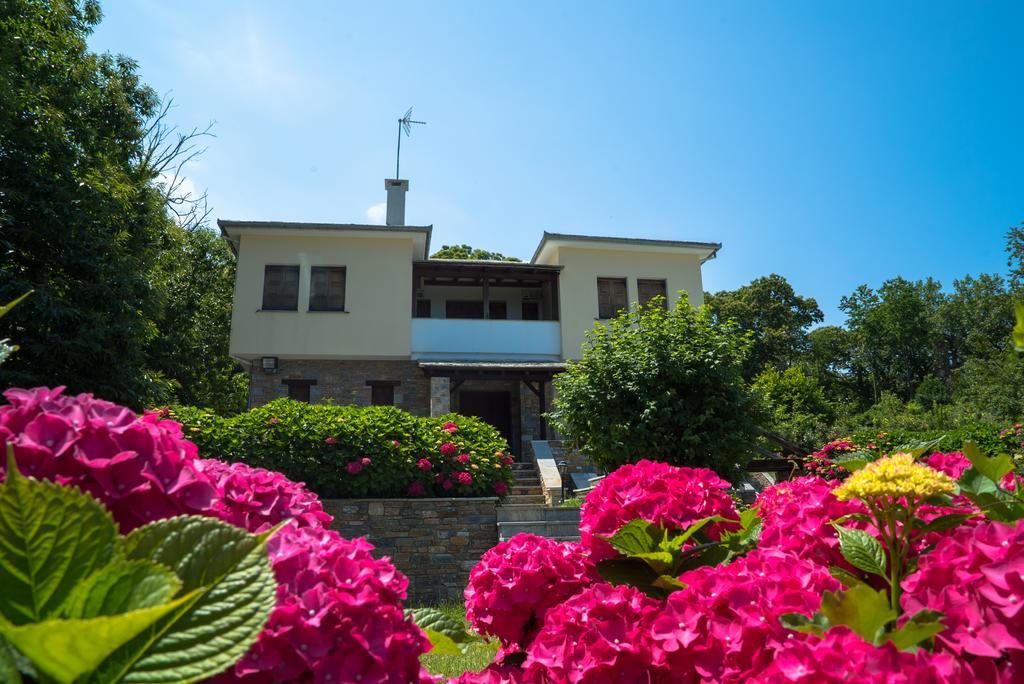 Luxury Villa With Pool In ツァガラダ エクステリア 写真